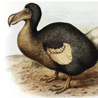 De Consumentenbond en de dodo